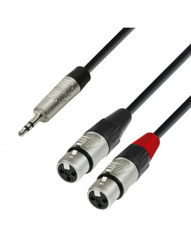 Adam Hall - K4YWFF0180 - Câble Audio REAN Mini-Jack 3,5 mm stéréo vers 2 x XLR femelle 1,8 m
