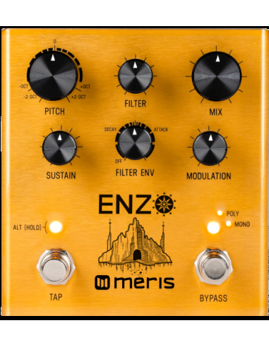 Meris,Enzo,Multi-Voice Instrument Synthesizer