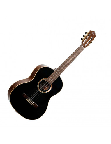 RE238SN-BKT - Full-size guitar black