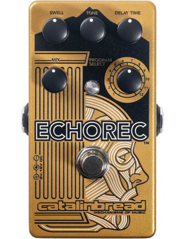 Echorec multi-tap echo