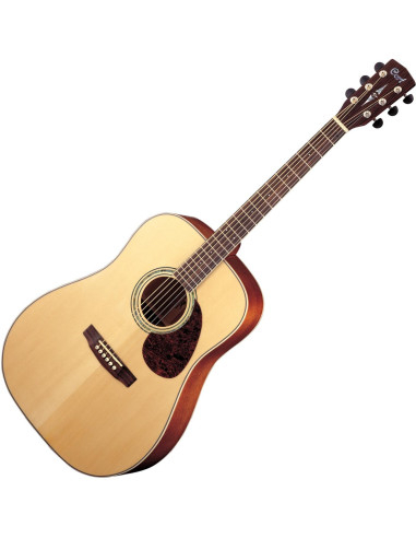 Earth100 NAT Natural Acoustic Guitar